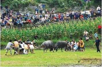 丹寨入围“全国休闲农业与乡村旅游示范县”